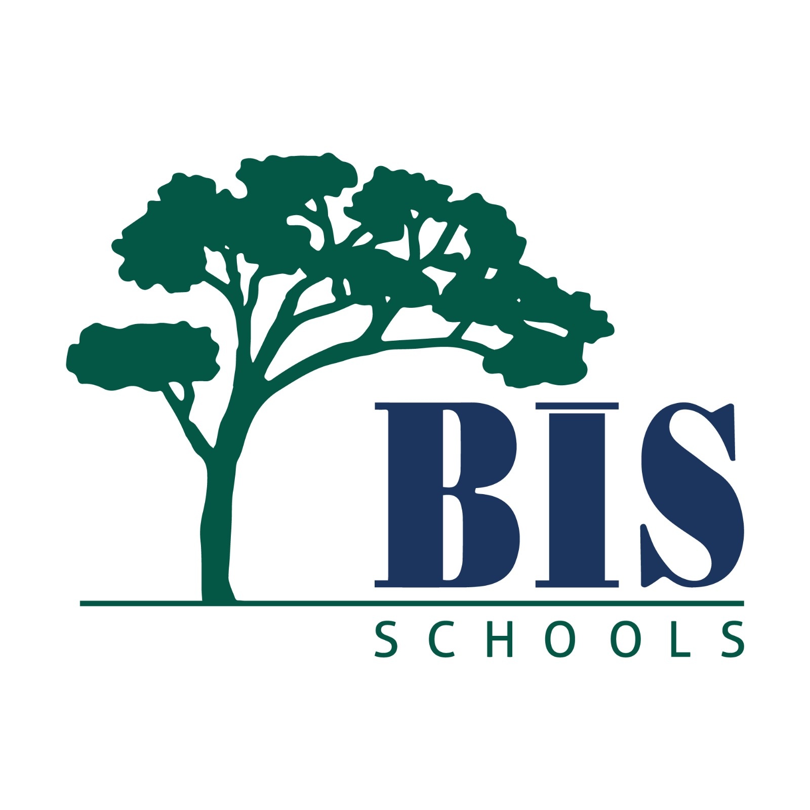 YEAR-6 (6.SINIF) PACKAGE (Ç)